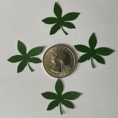 GREEN DARK PALM FROND Die-cut Embellishment(10pc)Jolee’s•Flower•Garden•Stems•