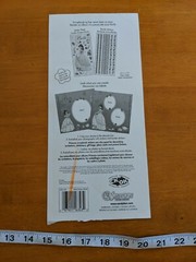 New Sandy Lion Disney Large 5″ x 12 Sticker Sheet Belle Beauty Princess VTG RARE