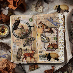 240PCS Waterproof Flowers Leaves Animals Plants Nature Stickers for Art Journali