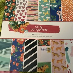 Amy Tangerine-7 Item Huge Lot-paper, Stickers, Ephemera