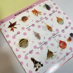 Uozura Fish Heads Stickers book 274 Japanese stickers Uozura / Atsushi Morioka