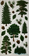 GREEN FOREST Mylar Stickers (19pc)Christmas Tree…Pine…Chestnut…Leaf…Card Making…