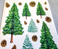 Crafts Etc 2004 Christmas Pine Trees Firs Clear Stickers 12″ Scrapbooking SXL136