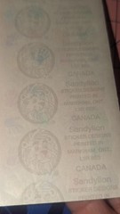 Vintage Sandylion Stickers Hands Handprints 1 Module