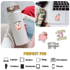 Vybonz 3 inch pig stickers 10 pack