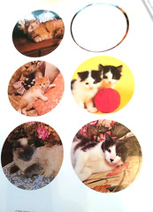 Vintage 1988 Current Cat Lovers Stickers 2262-9 Nice 5 Sheets