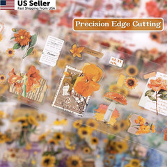 RISYPISY 48 Yellow, Orange, Light Green, Dark Blue, Purple, Khaki, Red
