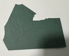Jolee’s by you,Scraping stickers Flowers, Foliage (C12B5)