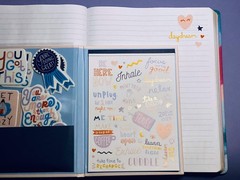 WORLD TRAVELER Self Care Sticker Book Folio Hardcover 5×7 Art Stickers
