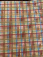 40 Sheets Scrapbook Card Stock Paper Foil Embossed Die Cuts Kids School Apple