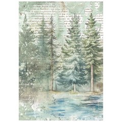 Stamperia Mini Rice Paper- Herbarium Silvae A6 , DFSA6X02