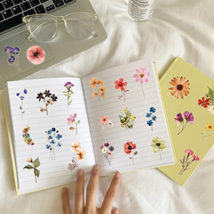 50PCS Transparent Flora Scrapbook Stickers, Vintage Aesthetic Flowers Sticker fo