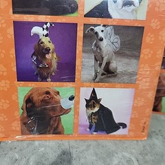Lot Vintage Hallmark AGC Stickers Sticker Sheets Halloween Ghost Dogs Bat Witch