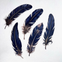 Large Black Feather Stickers Gold Foil Junk Journal Collage Scrapbooking