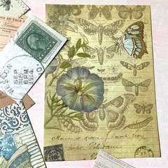 Vintage Inspired Scrapbook Kit – 20pc Ephemera & Decorative Paper Pack Grab Bag