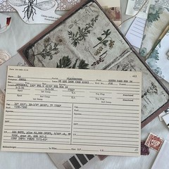 Vintage Fairy Botanical Junk Journal Kit Cottagecore Ephemera Pressed Flowers