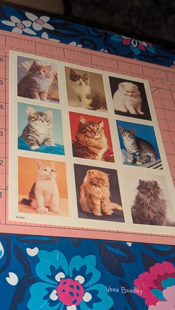 Vintage American Greetings Stickers Cats Kittens 1 Sheet READ