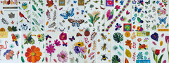 399+ stickers butterflies flower designs birds outdoor nature animals plants lot