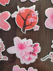 STICKERS x 10 Flowers Pink Cherry Blossom Orchid Tree Sticker CHE4