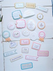 Lot 115+ Anna Griffin Scrapbooking Paper Embellishments Floral Die Cut Paper