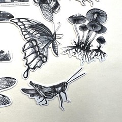 Black and White Garden Insect Stickers Planners Bullet Journal Scrapbooking
