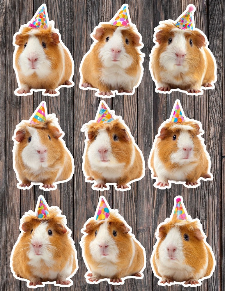 Party Guinea Pig Die Cut Vinyl Stickers Scrapbooking Laptop Waterbottle