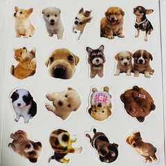 Cute Dog Sticker For packaging Random 2pc NEW from Japan 2枚セット　ステッカー　シール　かわいい