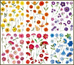 VINYL PRESSED FLOWER PHOTO STICKERS 7 7/8″X 5.75″ SHEET #1-P Pink