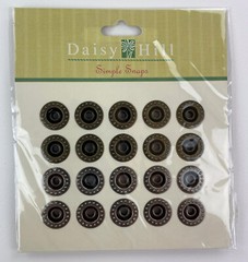 Daisy Hill Simple Snaps for Scrapbooking Card Making Pewter Brass 2 Packs of 20