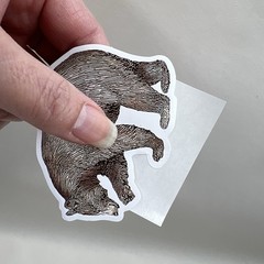 Forest Animal Stickers Nature Bear Squirrel Fox Scrapbooking *SEE DESCRIPTION*