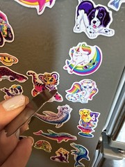 Handmade Magnet Lot Made W/ Lisa Frank Sticker Alien Cheetah Panda 90s Art
