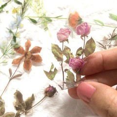 120Pcs Natural Flower Stickers for Scrapbook, Transparent Dried Resin Floral …