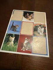 Vintage Sticker Sheet Realistic Photographic Cats Kittens