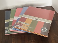 LOT of 5 Michaels Recollections Card Stock 50 Pc Packs 65 Lb Assorted Colors NIP