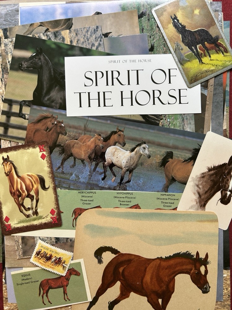 HORSES Curated playing cards & book pages kit Some Vintage 45 Pieces – original