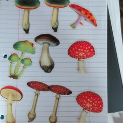 Planner Stickers Set Multicolor Flowers & Plants Mushroom Scrapbooking