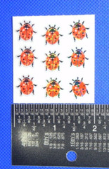 Sandylion Red Lady Bugs Sticker Mod