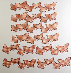 K&Company Butterflies Picnic Checker Orange Foil Border Sticker Scrapbooking 6pc
