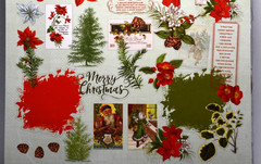 49 and Market Evergreen Season Acetate Assortment – 44 die cut shapes – NIP