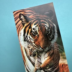 Vintage 90s For The Love Of Cats Tiger Cubs Cheetah Bookmark Lot – read Desc