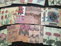100 Pc Scrapbooking Supplies JJ Craft Kit Florabunda Theme Ephemera New Product