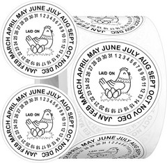 500 Pcs Eggs Laid on Date Stickers 2″ Farm Fresh Egg Round Stickers Egg Chick…