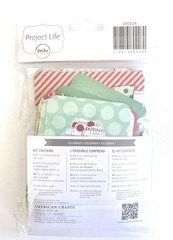 Becky Higgins PROJECT LIFE CELEBRATE THEMED CARDS 60 Count Birthday