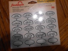FLASHBACKS Removable Vacations/Travel Photo Captions – NEW IN PACKAGE