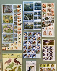 Lot of BIRD Stickers! Sticko, Studio 112, Etc