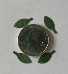 DARK GREEN BIRCH LEAF Die-cut Embellishment(20pc)Jolees •Garden•Christmas•Stems•