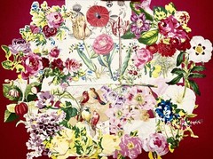 Anna Griffin Pocket Embellishment DieCuts 30 Pcs Total – Flowers & Layers! WOW!