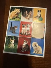 Vintage Sticker Sheet Realistic Photographic Cats Kittens