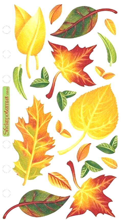 Leaves Fall Maple Oak Red Yellow Orange Green Tree Autumn Sticko Vellum Stickers