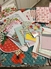 Strawberry Shortcake inspired Junk Journal Kit/Supplies #2
